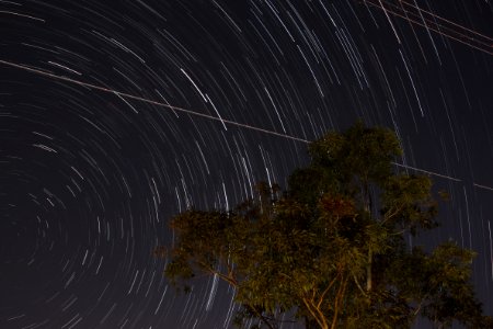 Star Trail #3 photo