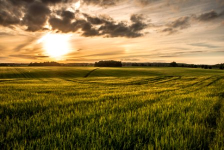 hertford sunset 4