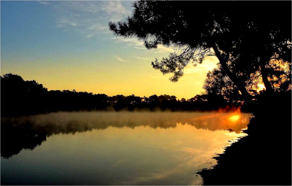 Etang de Gujan-Mestras.24.08.2014