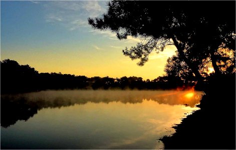 Etang de Gujan-Mestras.24.08.2014
