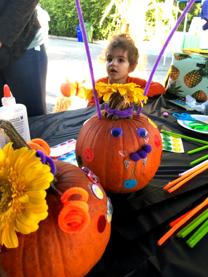 2019 Pumpkin Decorating