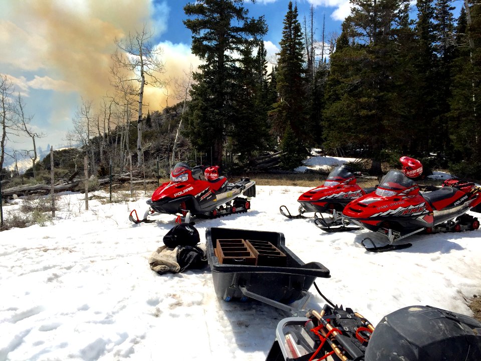 Snowmobiles and Smoke