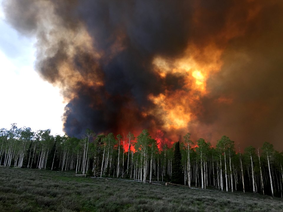 Prescribed burn at Manning Creek