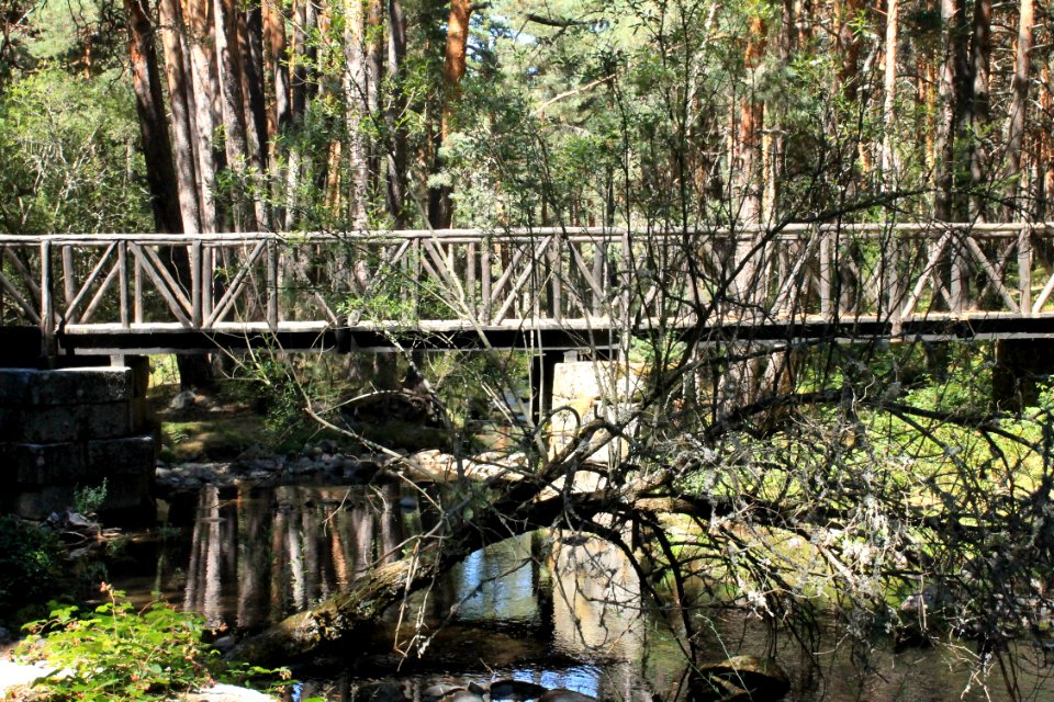 Parque Nacional Guadarrama