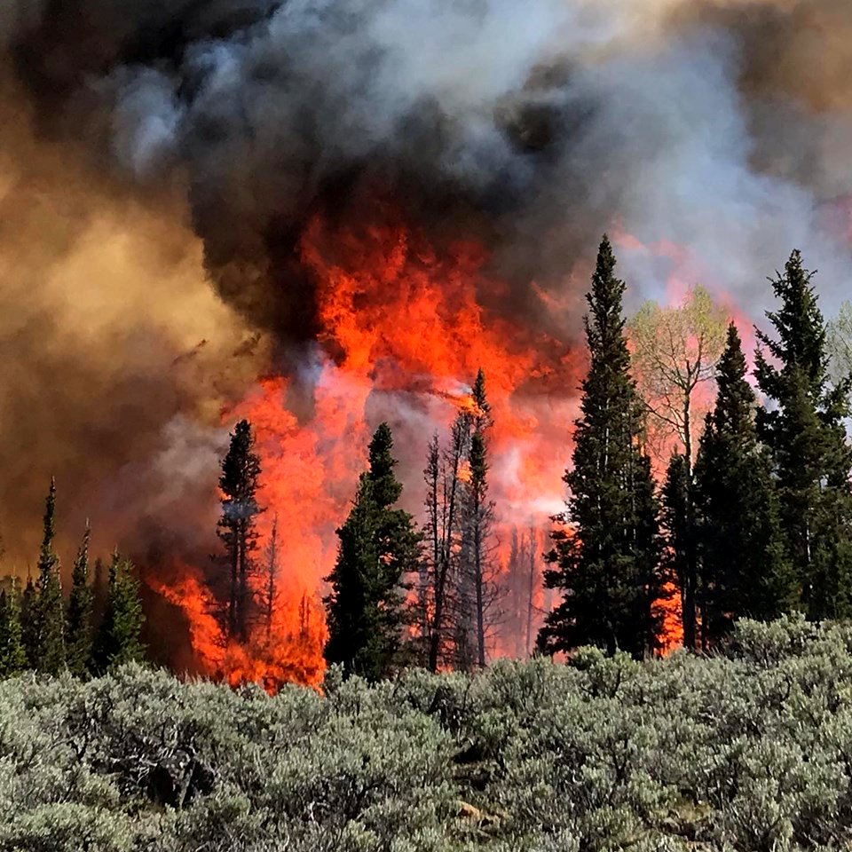 Prescribed burn at Manning Creek