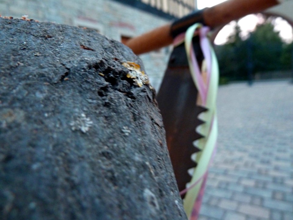 Wedding Treesaw