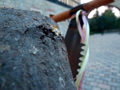 Wedding Treesaw