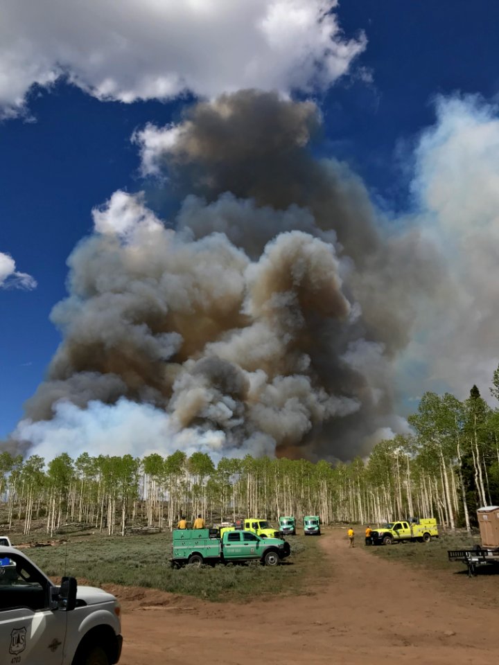 Prescribed burn at Manning Creek