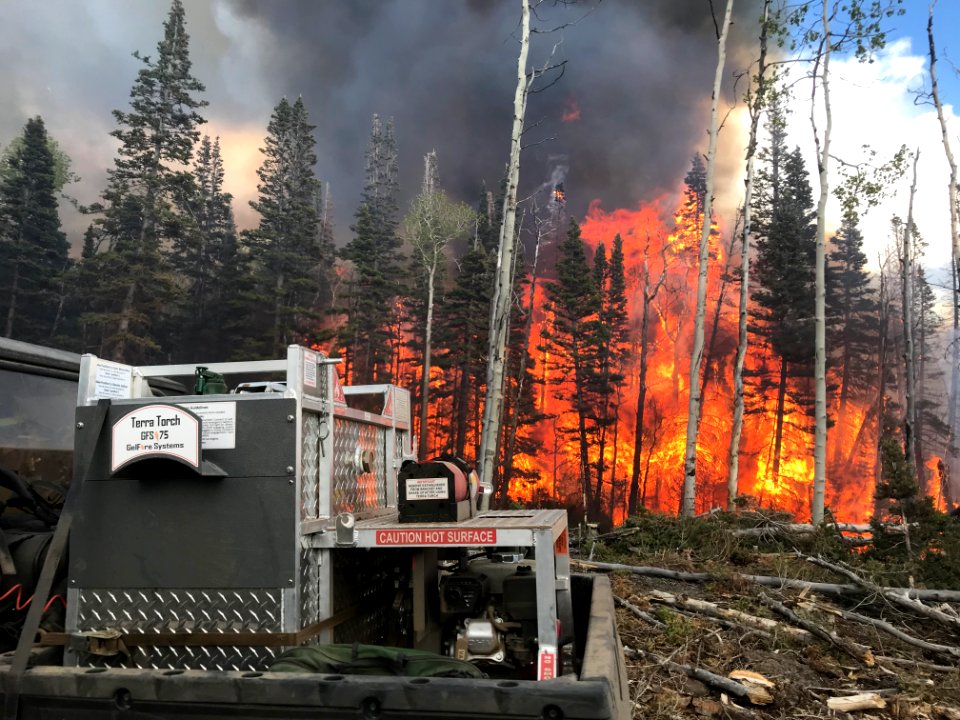 Prescribed burn at Manning Creek