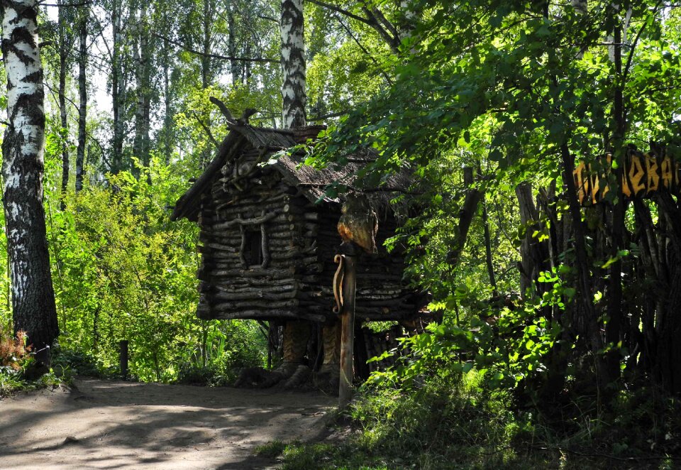 Tree museum open-air museum