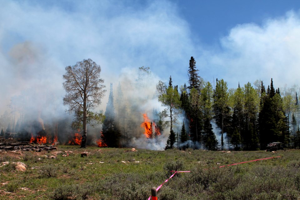 Prescribed burn at Manning Creek