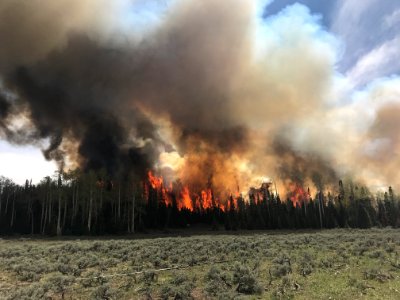 Prescribed burn at Manning Creek photo