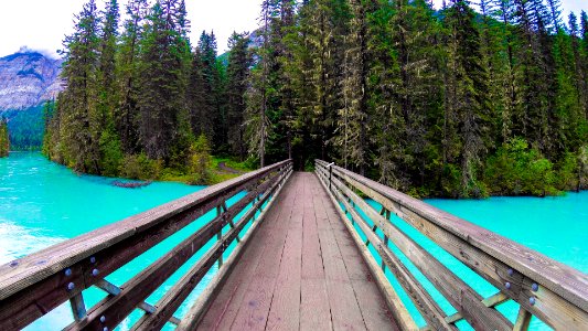 Kinney Lake Trail