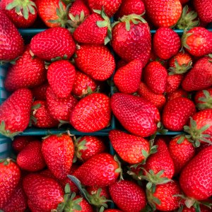 Strawberries
