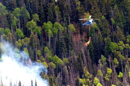 Prescribed burn at Manning Creek