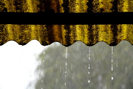 Rainy Day