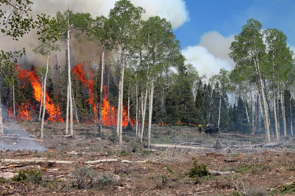 Prescribed burn at Manning Creek