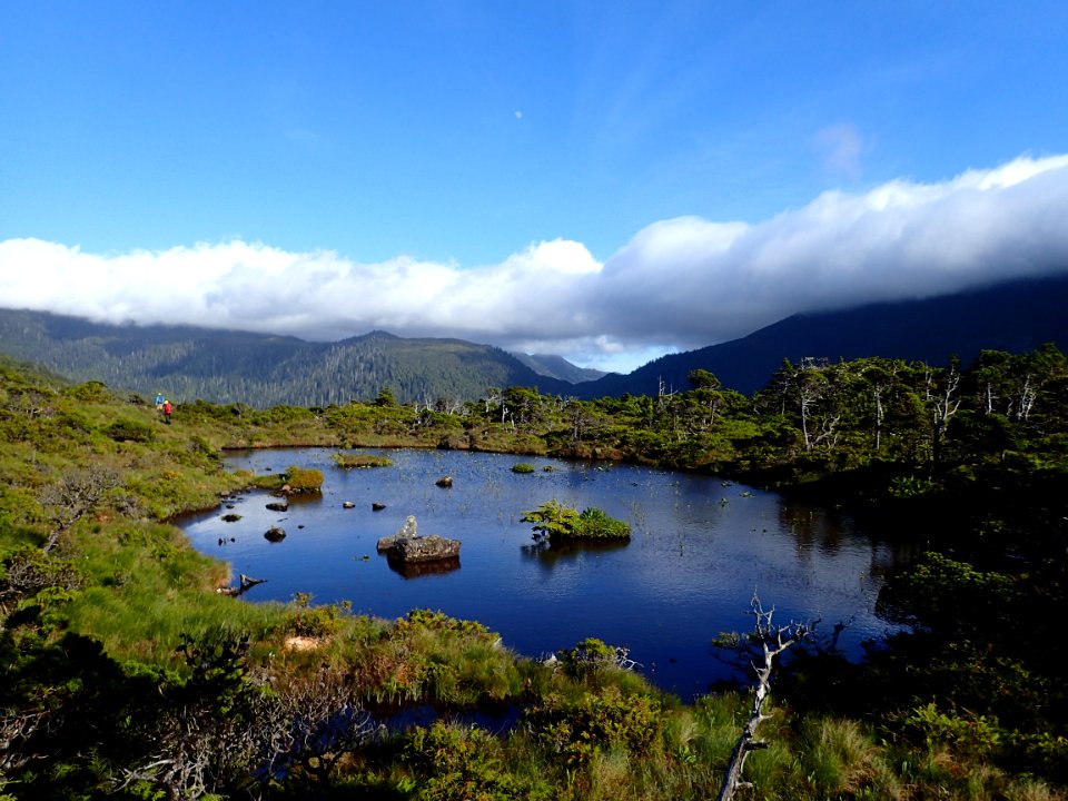 Coastal Alaska Landscape