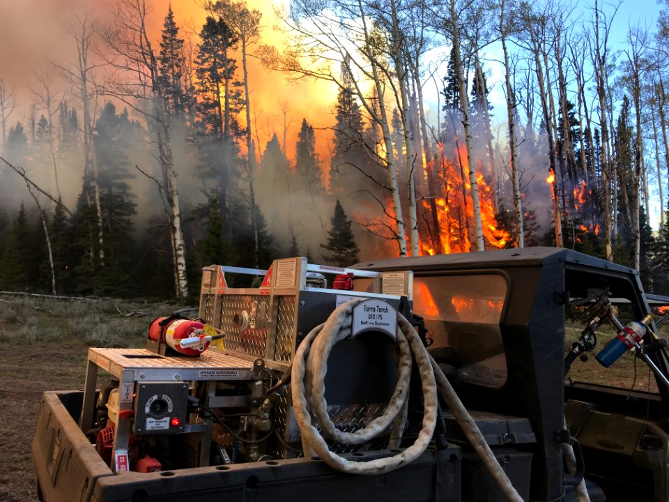 Prescribed burn at Manning Creek