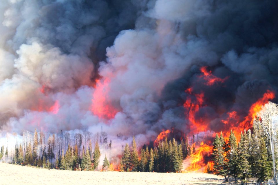 Langdon Mountain Prescribed Burn - Flames and Smoke
