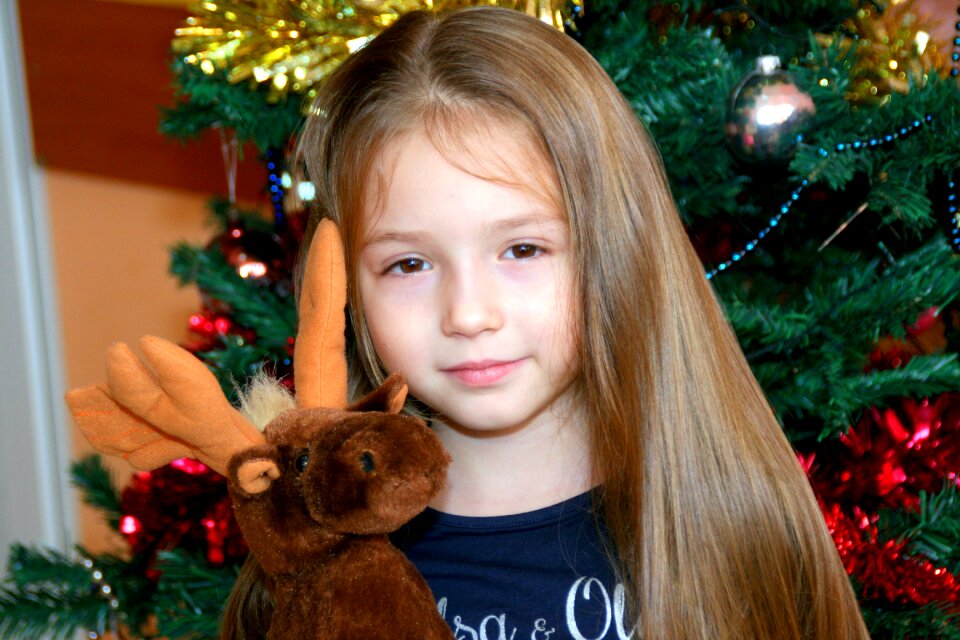 Tinsel decorations reindeer