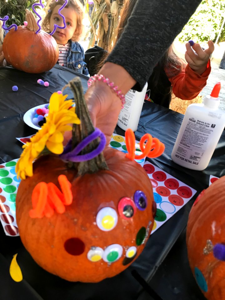2019 Pumpkin Decorating