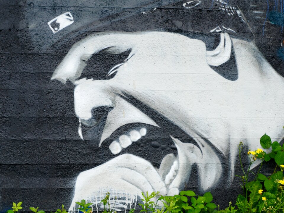 Cry emotion art