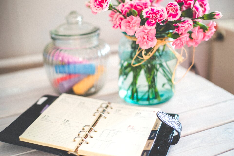 Appointments diary notes