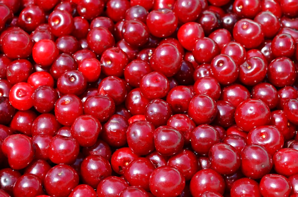 The freshness vitamins food
