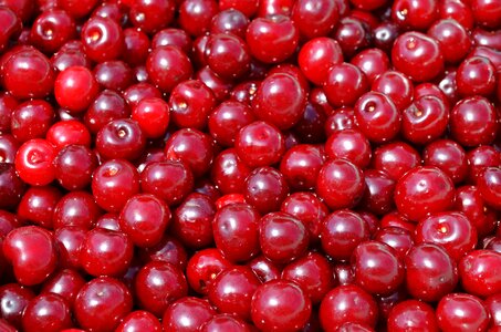 The freshness vitamins food