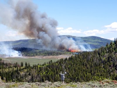 Prescribed burn at Manning Creek photo