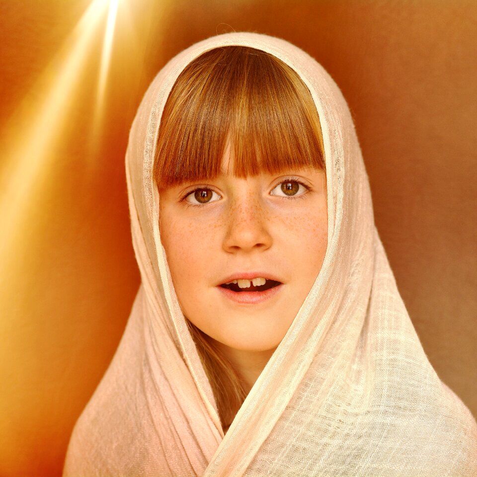 Face portrait light