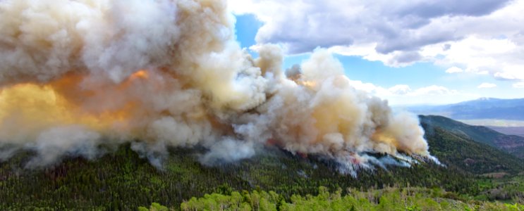 Prescribed burn at Manning Creek