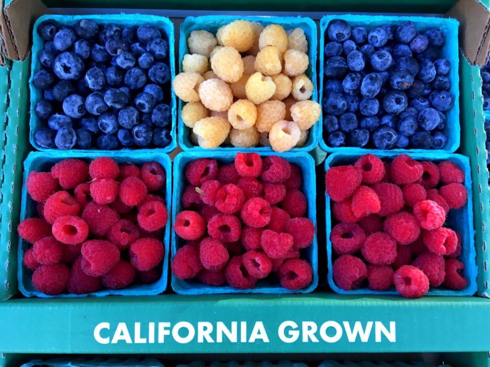 Berries