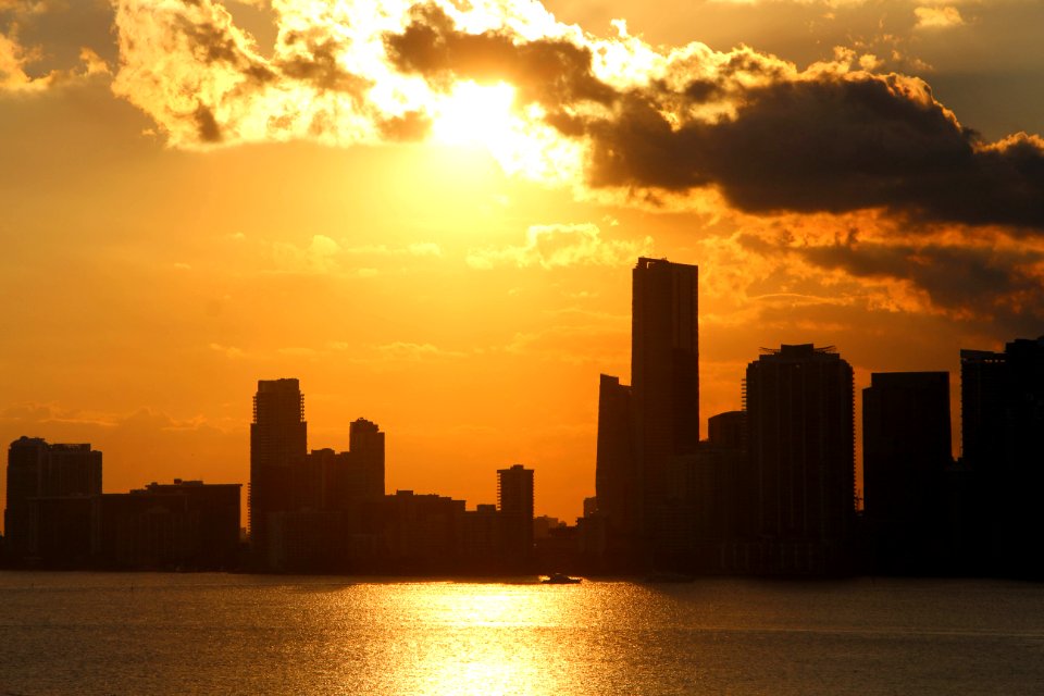 Miami Skyline