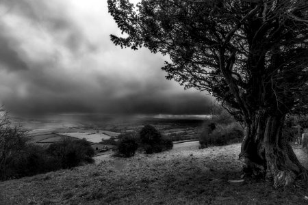 Mono storm