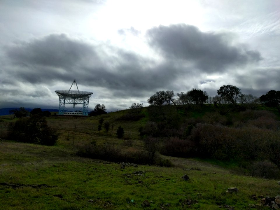 The Dish