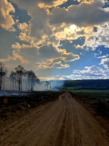 Prescribed burn at Manning Creek