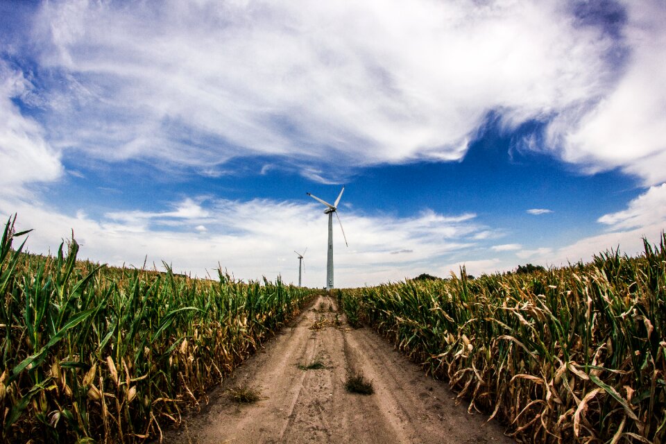 Agriculture rural farm