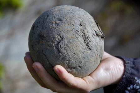 Find wooden balls oracle
