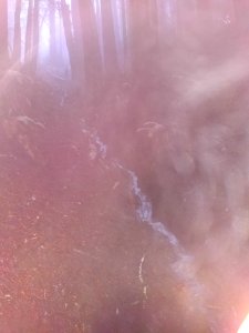 The Flash on a Fog