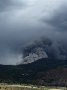 Prescribed burn at Manning Creek
