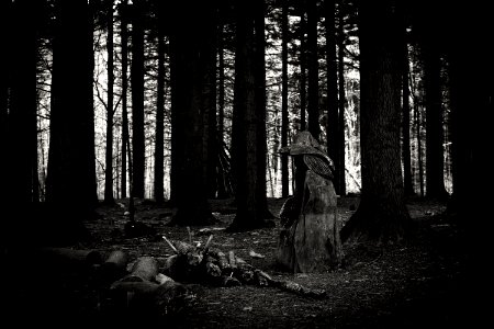 DSC 1922-Edit