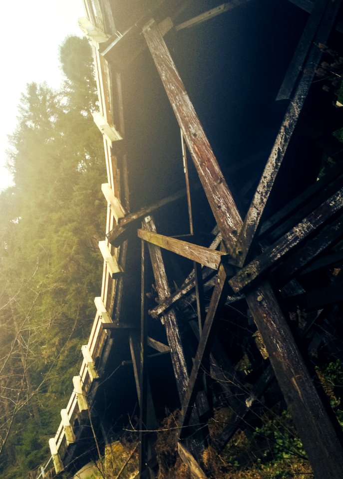 The wood of the Fairfax Bridge