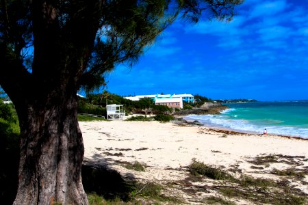 A beach on Bermuda