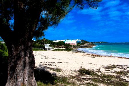 A beach on Bermuda photo