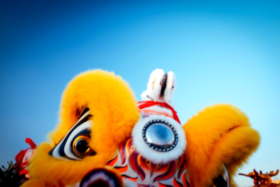 Tet in SD (2 of 20)