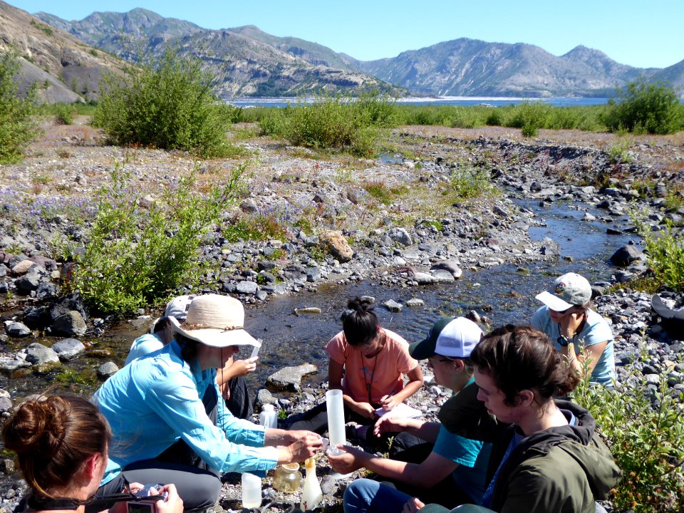 Mount St. Helens Institute Students Sampling Algae