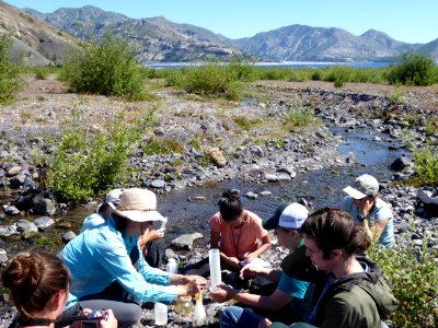 Mount St. Helens Institute Students Sampling Algae
