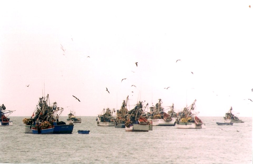 Mancora